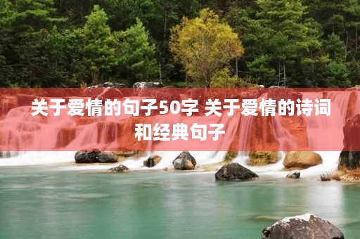 关于爱情的句子50字 关于爱情的诗词和经典句子 关于爱情的句子50字 关于爱情的诗词和经典句子