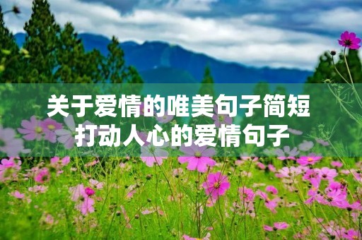 关于爱情的唯美句子简短 打动人心的爱情句子