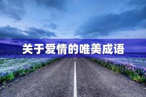 关于爱情的唯美成语