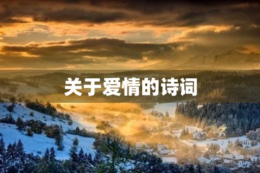 关于爱情的诗词(关于爱情的诗词和经典句子) 关于爱情的诗词(关于爱情的诗词和经典句子)