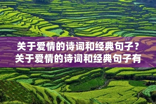 关于爱情的诗词和经典句子？关于爱情的诗词和经典句子有哪些