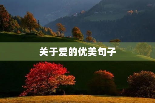 关于爱的优美句子(关于爱的优美句子开头和结尾摘抄)