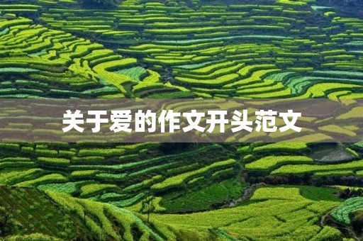 关于爱的作文开头范文