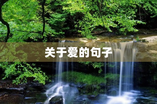 关于爱的句子 关于爱的句子