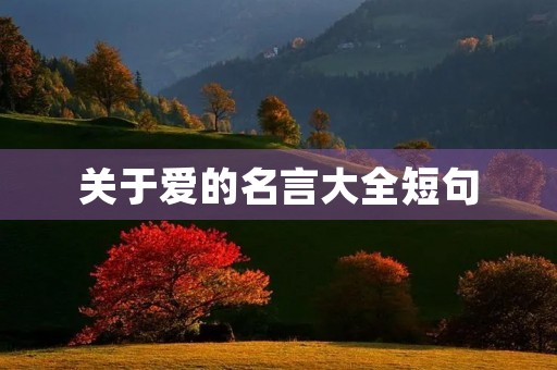 关于爱的名言大全短句(关于爱的名言大全短句英语) 关于爱的名言大全短句(关于爱的名言大全短句英语)