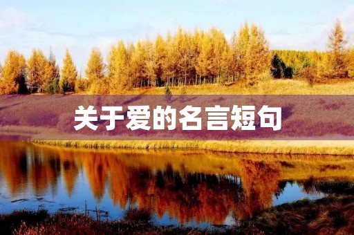 关于爱的名言短句(关于爱的名言短句不是爱情) 关于爱的名言短句(关于爱的名言短句不是爱情)