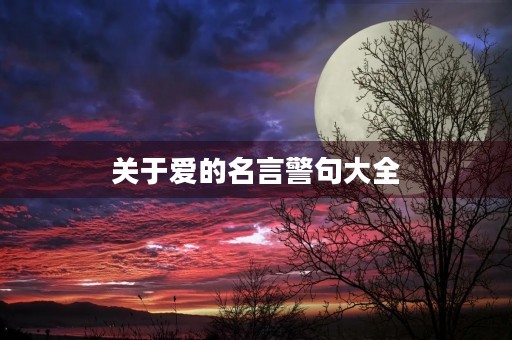 关于爱的名言警句大全,关于爱的名言警句大全,要作者 关于爱的名言警句大全,关于爱的名言警句大全,要作者