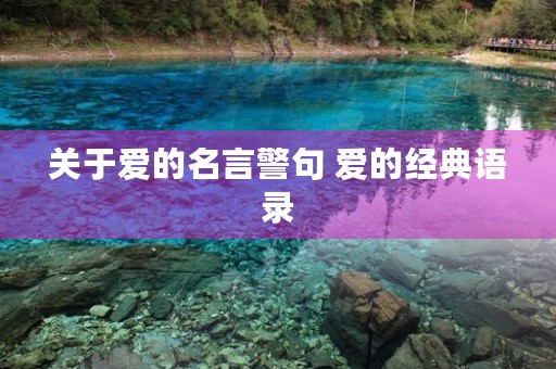 关于爱的名言警句 爱的经典语录
