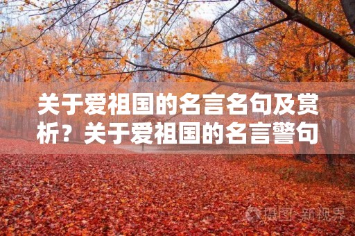 关于爱祖国的名言名句及赏析？关于爱祖国的名言警句有哪些