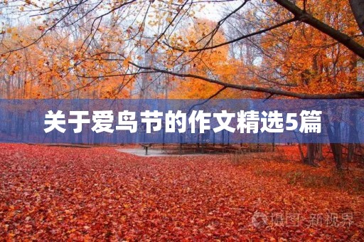 关于爱鸟节的作文精选5篇