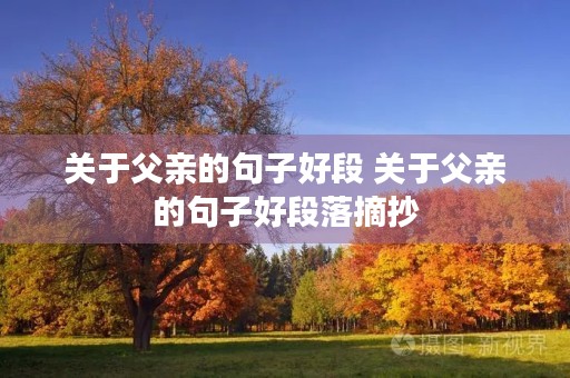 关于父亲的句子好段 关于父亲的句子好段落摘抄