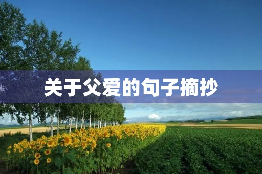 关于父爱的句子摘抄(关于父爱的句子摘抄大全)