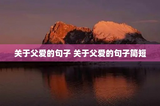 关于父爱的句子 关于父爱的句子简短 关于父爱的句子 关于父爱的句子简短