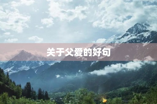 关于父爱的好句(关于父爱的好句好段) 关于父爱的好句(关于父爱的好句好段)