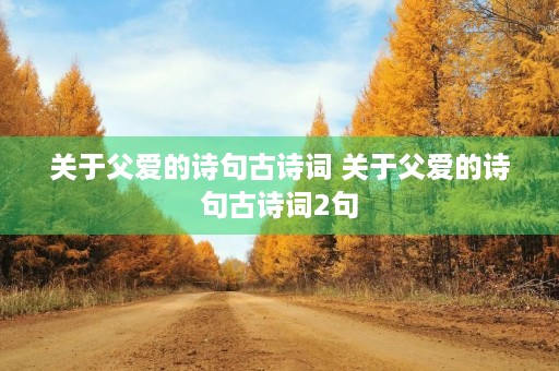 关于父爱的诗句古诗词 关于父爱的诗句古诗词2句