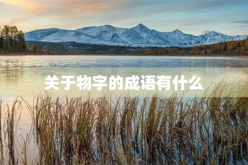 关于物字的成语有什么 关于物字的成语有什么