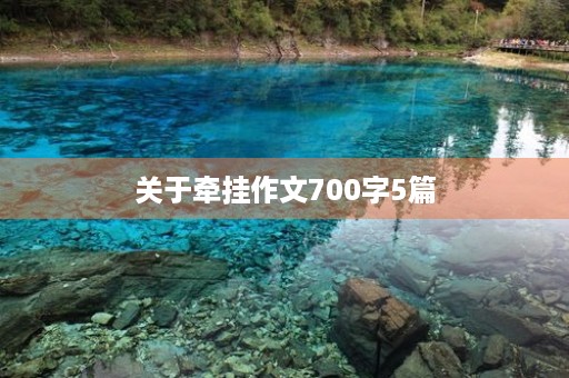 关于牵挂作文700字5篇 关于牵挂作文700字5篇