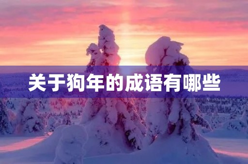 关于狗年的成语有哪些