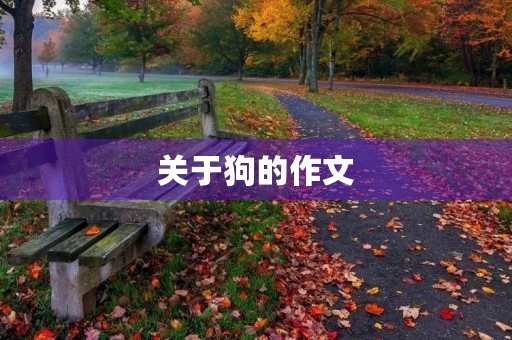 关于狗的作文 关于狗的作文