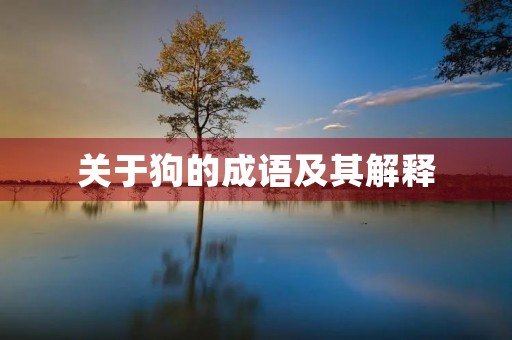 关于狗的成语及其解释