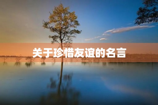 关于珍惜友谊的名言，关于珍惜友谊的名言警句