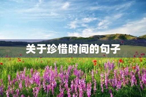 关于珍惜时间的句子(关于珍惜时间的句子名言) 关于珍惜时间的句子(关于珍惜时间的句子名言)