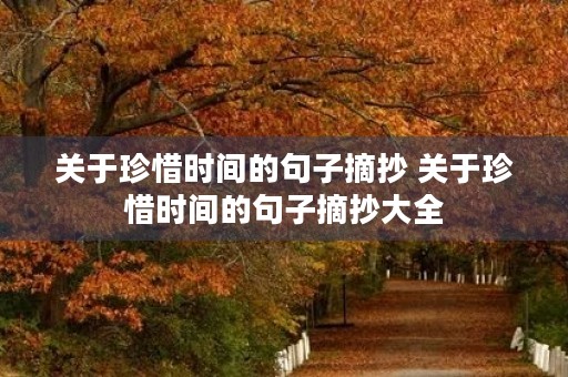 关于珍惜时间的句子摘抄 关于珍惜时间的句子摘抄大全