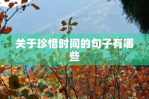 关于珍惜时间的句子有哪些,关于珍惜时间的句子有哪些写一写吧 关于珍惜时间的句子有哪些,关于珍惜时间的句子有哪些写一写吧