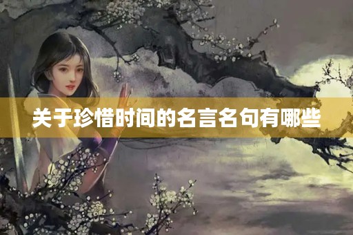 关于珍惜时间的名言名句有哪些(关于珍惜时间的名言名句有哪些,短简)