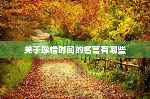 关于珍惜时间的名言有哪些(关于珍惜时间的名言有哪些还有作者) 关于珍惜时间的名言有哪些(关于珍惜时间的名言有哪些还有作者)