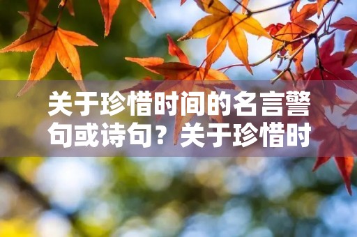 关于珍惜时间的名言警句或诗句?关于珍惜时间的名言警句或诗句有哪些 关于珍惜时间的名言警句或诗句?关于珍惜时间的名言警句或诗句有哪些