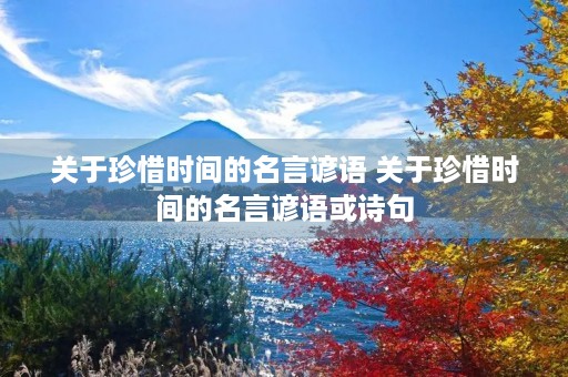 关于珍惜时间的名言谚语 关于珍惜时间的名言谚语或诗句