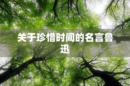 关于珍惜时间的名言鲁迅(关于珍惜时间的名言鲁迅说的) 关于珍惜时间的名言鲁迅(关于珍惜时间的名言鲁迅说的)