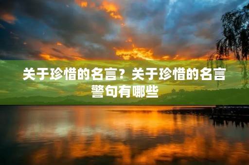 关于珍惜的名言?关于珍惜的名言警句有哪些 关于珍惜的名言?关于珍惜的名言警句有哪些