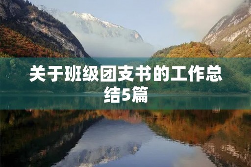 关于班级团支书的工作总结5篇