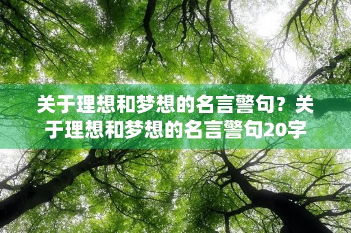 关于理想和梦想的名言警句?关于理想和梦想的名言警句20字 关于理想和梦想的名言警句?关于理想和梦想的名言警句20字