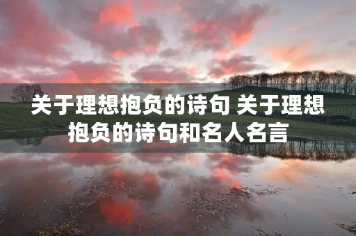 关于理想抱负的诗句 关于理想抱负的诗句和名人名言