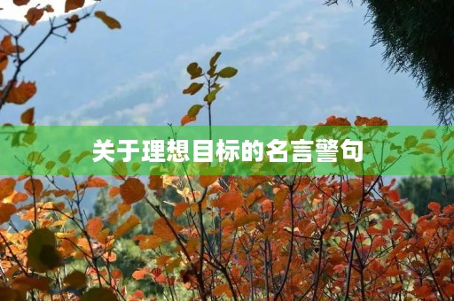 关于理想目标的名言警句(关于理想目标的名言警句简短) 关于理想目标的名言警句(关于理想目标的名言警句简短)
