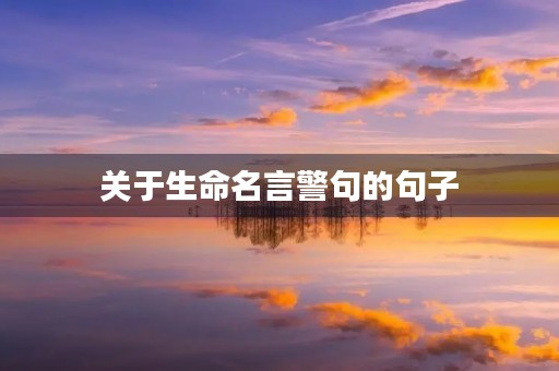 关于生命名言警句的句子，关于生命名言警句的句子摘抄