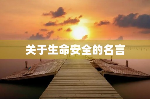 关于生命安全的名言,关于生命安全的名言名句 关于生命安全的名言,关于生命安全的名言名句
