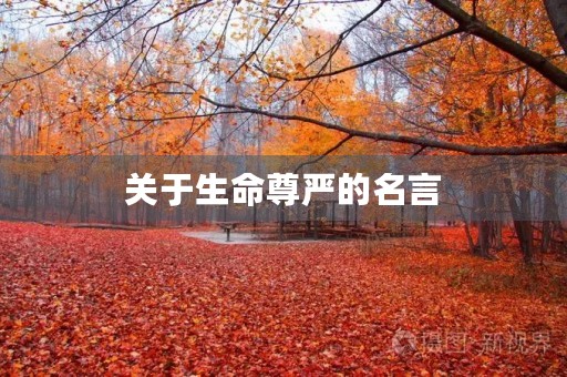 关于生命尊严的名言(关于生命尊严的名言警句)