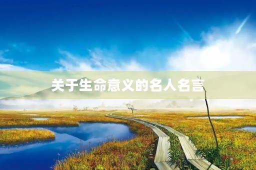 关于生命意义的名人名言(关于生命意义的名人名言短句)