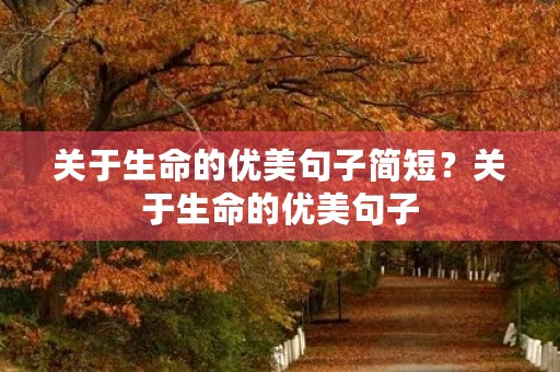 关于生命的优美句子简短?关于生命的优美句子 关于生命的优美句子简短?关于生命的优美句子