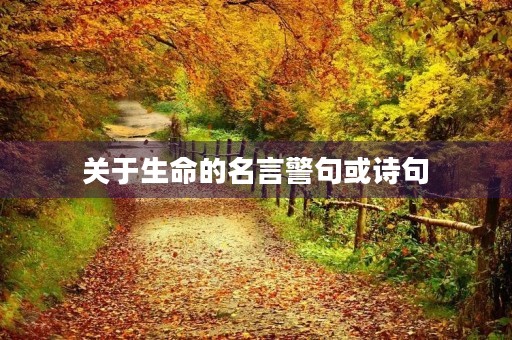 关于生命的名言警句或诗句(关于生命的名言警句或诗句大全)