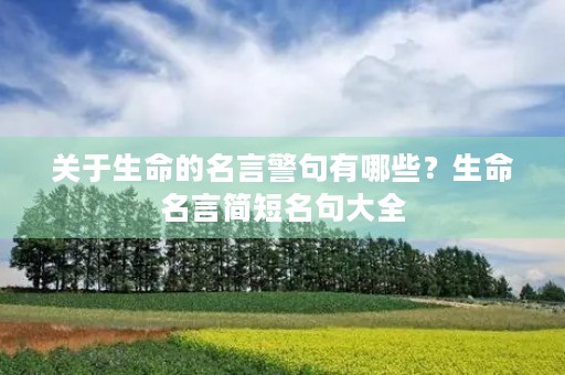 关于生命的名言警句有哪些?生命名言简短名句大全 关于生命的名言警句有哪些?生命名言简短名句大全