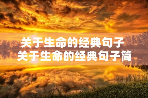 关于生命的经典句子 关于生命的经典句子简短 关于生命的经典句子 关于生命的经典句子简短