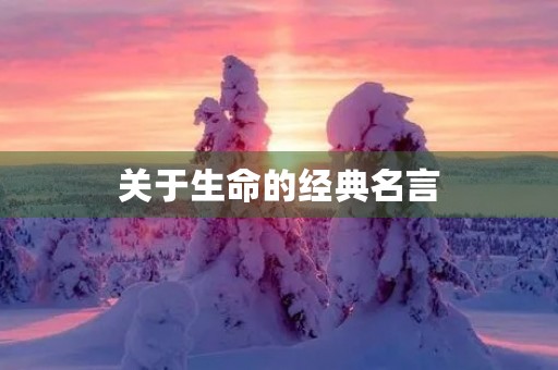 关于生命的经典名言(关于生命的经典名言短句)