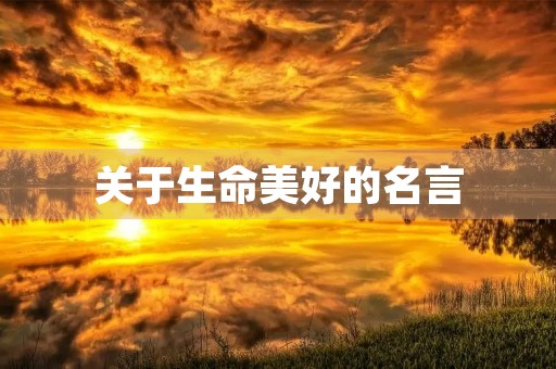 关于生命美好的名言(关于生命美好的名言警句) 关于生命美好的名言(关于生命美好的名言警句)