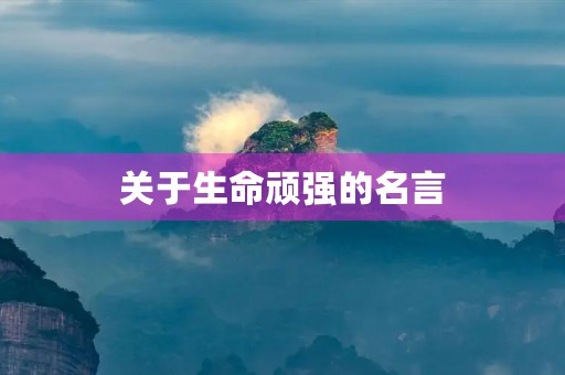 关于生命顽强的名言,关于生命顽强的名言名句短句 关于生命顽强的名言,关于生命顽强的名言名句短句