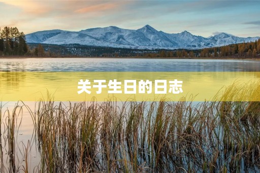 关于生日的日志 关于生日的日志